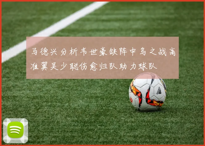 马德兴分析韦世豪缺阵中乌之战高准翼吴少聪伤愈归队助力球队